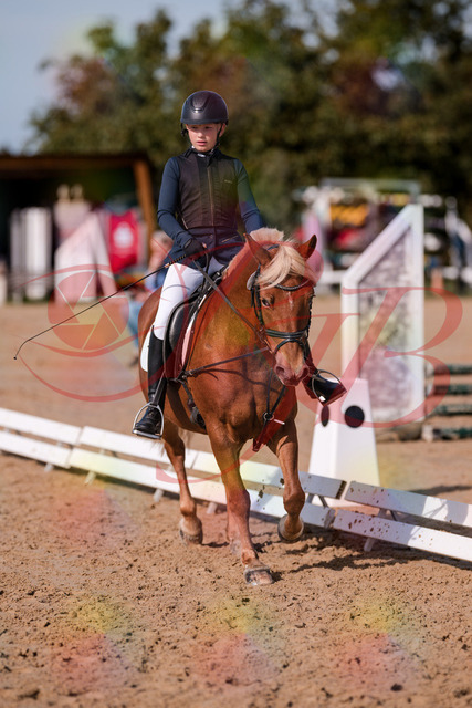 2026_10_03_Siefer-Hof_120032_Z81_02442385 | Professionelle Reitsport-, Turnier- und Eventfotografie von Robert Broda. Galerien mit ausgewählten und bearbeiteten Bildern direkt online ansehen und bestellen.