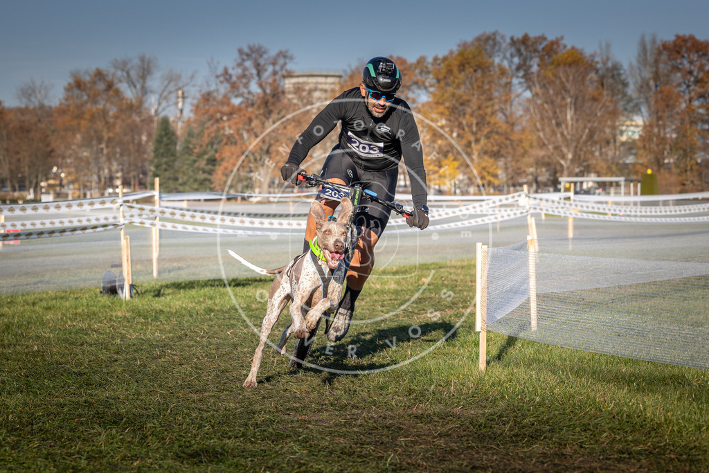 CaniXpix_0L8A4488 | Hundefotografie, Tierfotograf, Pfotenfotografie, Fotoshooting Hund, Hunde Portrait, Hundesport, Hundeportraits, Heideshooting, Hunde, Sportfotograf, Hundefotograf, Turnierhundsport, THS,  - Realisiert mit Pictrs.com