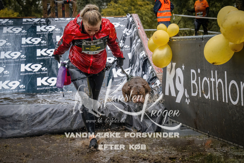 1237_ZZ90305 | kk-dogfotos