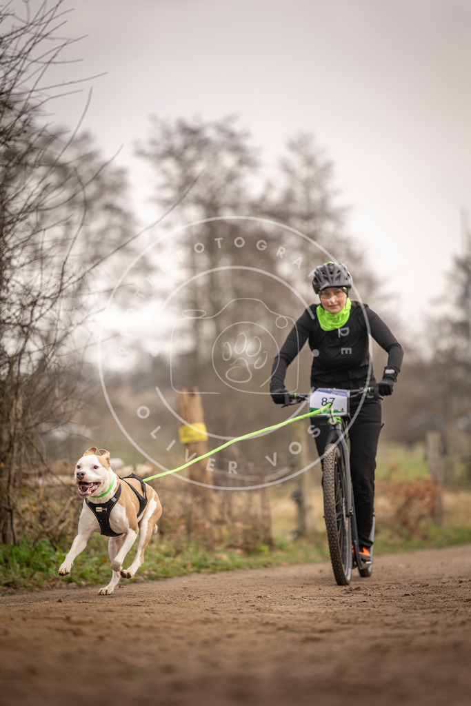 Pfotenfotografie_DV3A4141 | Hundefotografie, Tierfotograf, Pfotenfotografie, Fotoshooting Hund, Hunde Portrait, Hundesport, Hundeportraits, Heideshooting, Hunde, Sportfotograf, Hundefotograf, Turnierhundsport, THS,  - Realisiert mit Pictrs.com