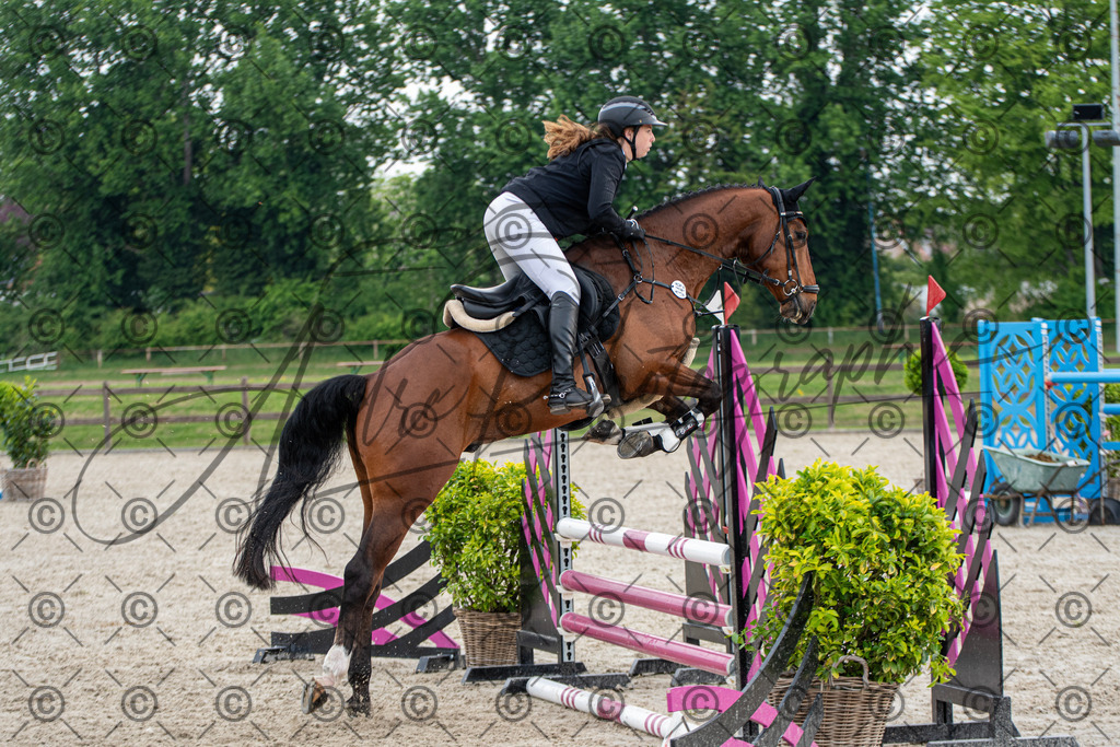 KPT_2202 | andre_photographic