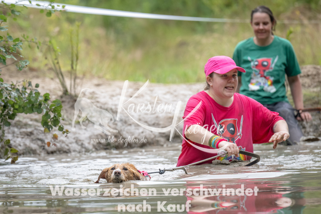 1318_ZZ93973 | kk-dogfotos