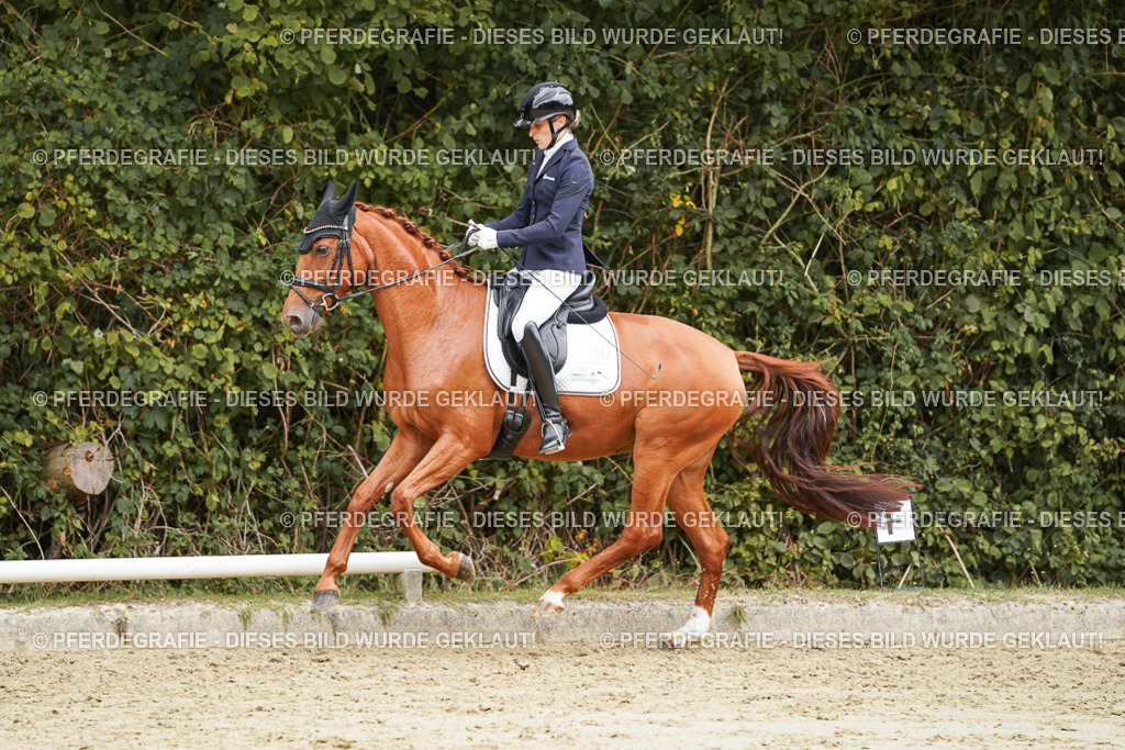 DSC00032 | Pferdegrafie