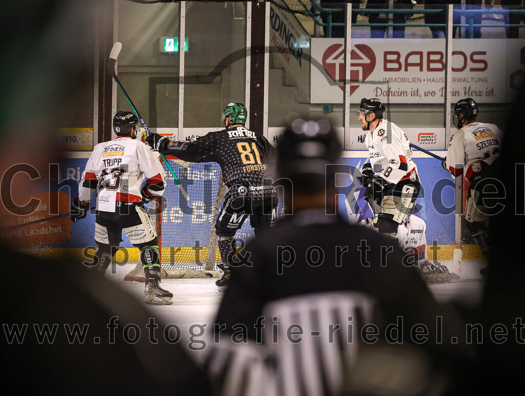 2024-03-08_030_TSV_Erding_gegen_EHC_Koenigsbrunn | Erding, Deutschland, 08.03.2024:
Eishockey, Bayernliga Playoffs 2023 / 2024, 1. Spieltag, TSV Erding gegen EHC Königsbrunn, Endergebnis: 3:0

Hayden Trupp (EHC Königsbrunn, #43), Maximilian Forster (Erding Gladiators, #81)

Foto: Christian Riedel / fotografie-riedel.net