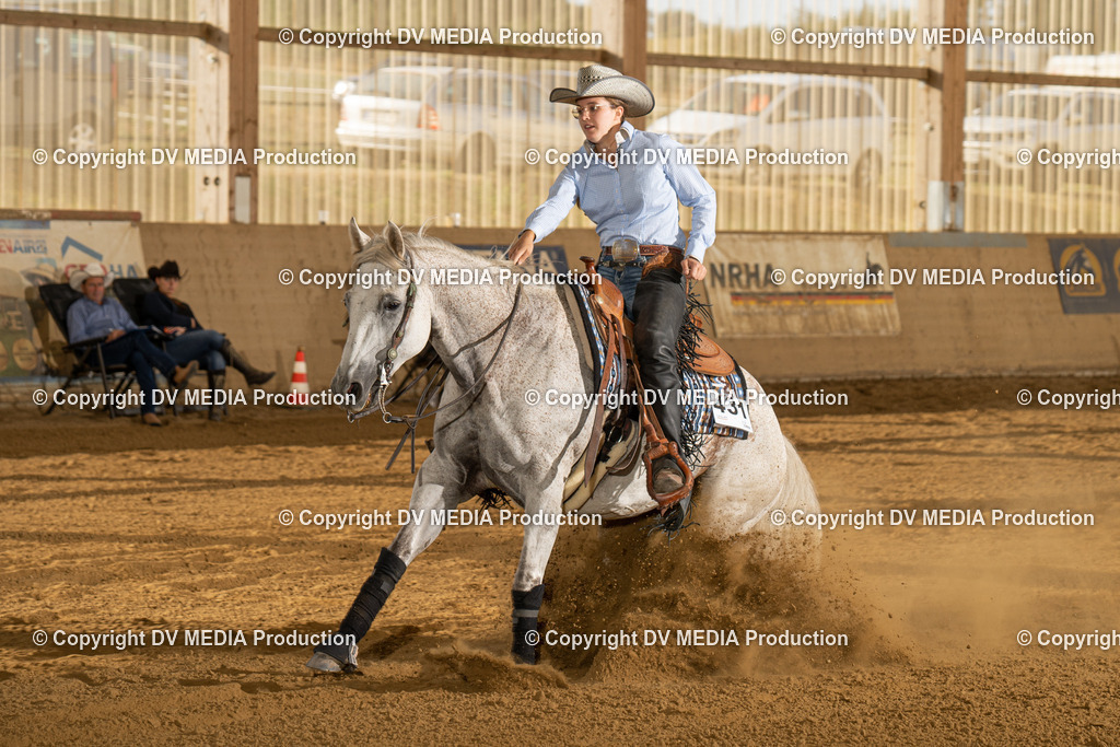 LAU01921 | dv-media-shop - Realisiert mit Pictrs.com