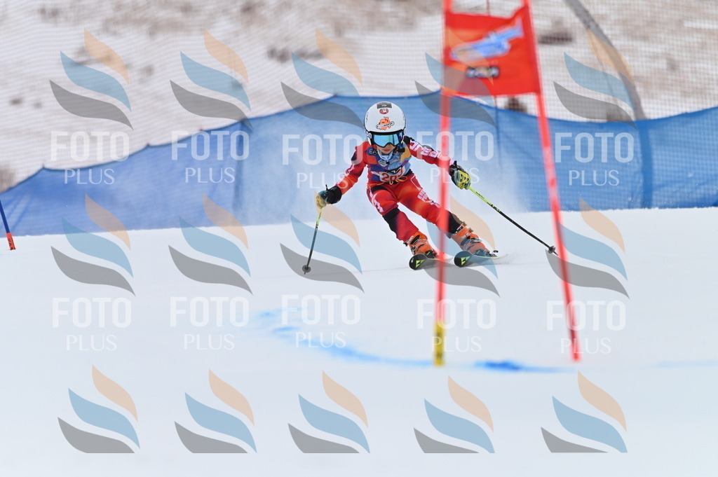 BGV_2030 | holidayphoto