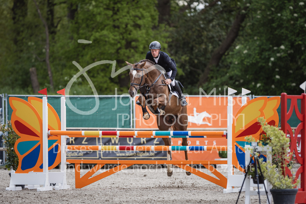 230516_Mühlen_05SprPf-L-571 | Deine schönsten Turniermomente als professionelle Fotos! Entdecke hochwertige Pferdesport-Fotografie im Online-Shop. Jetzt Fotos finden & bestellen!