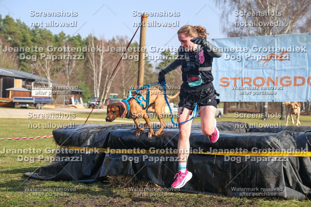 Dog Paparazzi - Strongdog North Mrz26-2362 | Dog Paparazzi Jeanette Grottendiek Fotografie & Videografie - Realisiert mit Pictrs.com