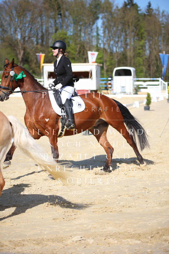 IMGT2438 | pl-fotografie