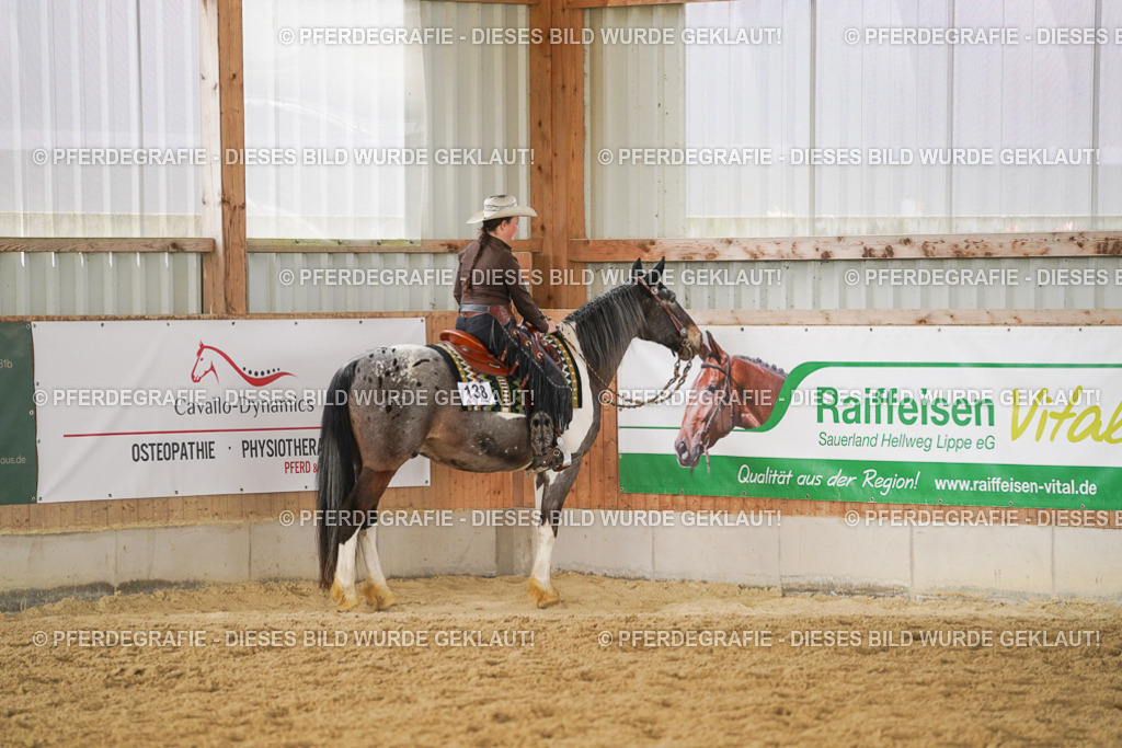 DSC02350 | Pferdegrafie