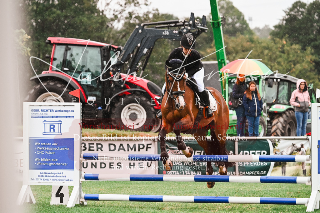DSC_6604 | Pferde- und Turnierfotografie in Westsachsen. Pferdeportraits, Auftragszeichnungen und intuitive Kunst.