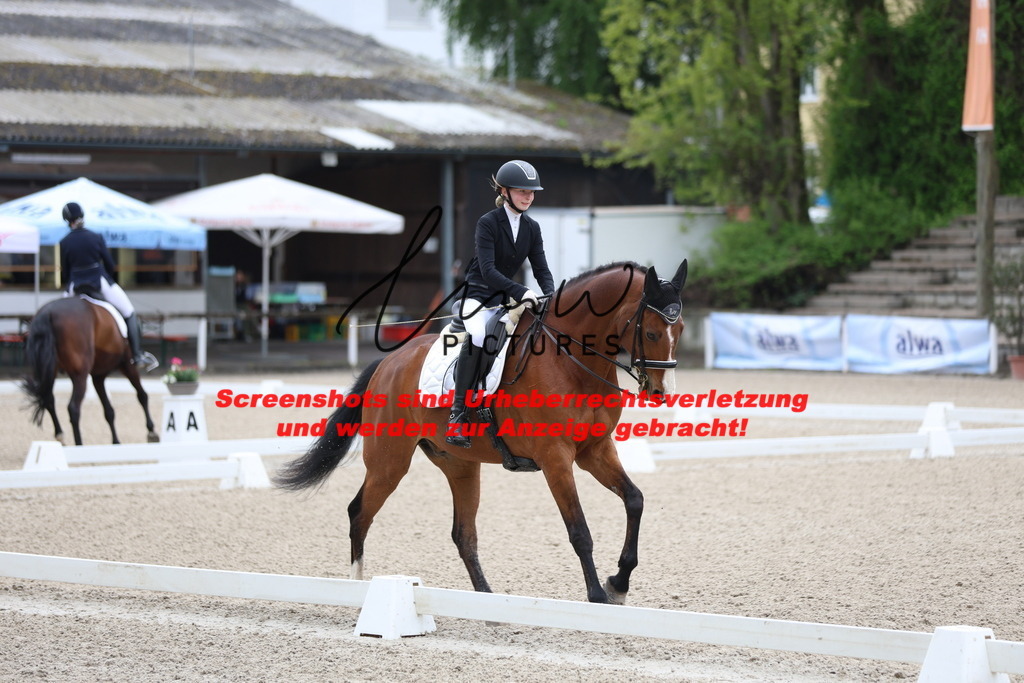 A40A0717 | lmwpictures - Realisiert mit Pictrs.com