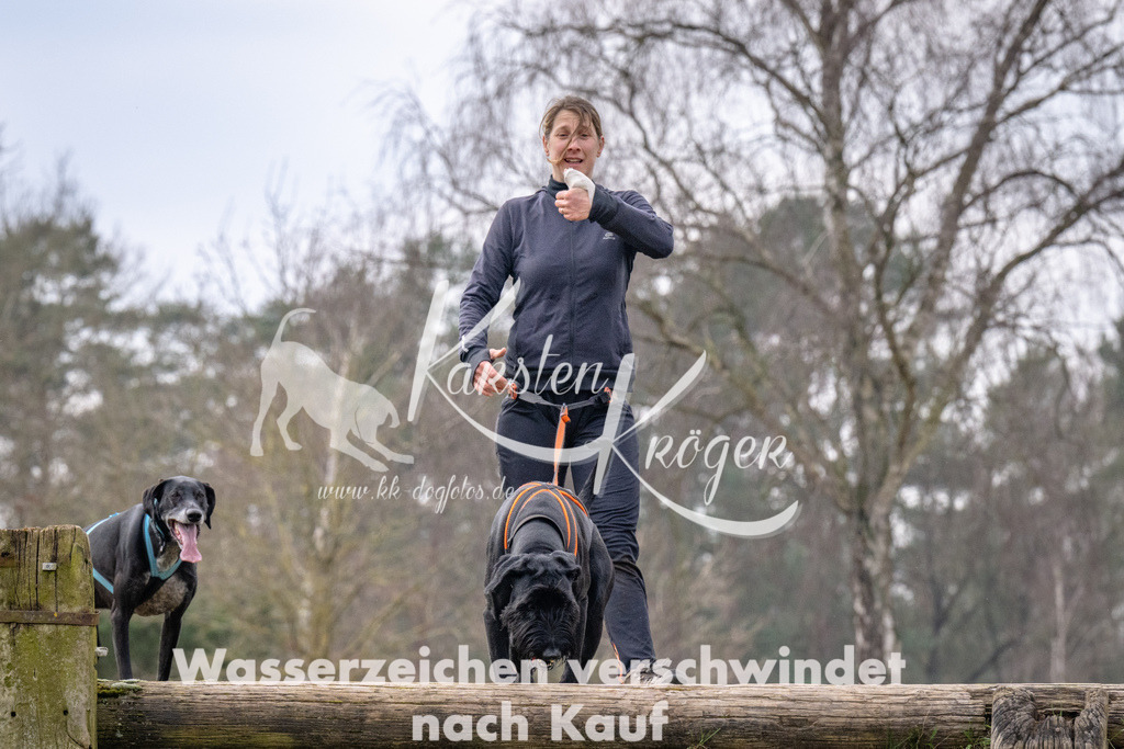 _ZZ92441 | kk-dogfotos