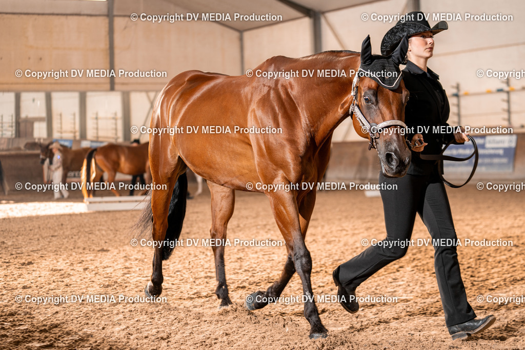 LM Heiligenwald Tag 1-07 | dv-media-shop - Realisiert mit Pictrs.com