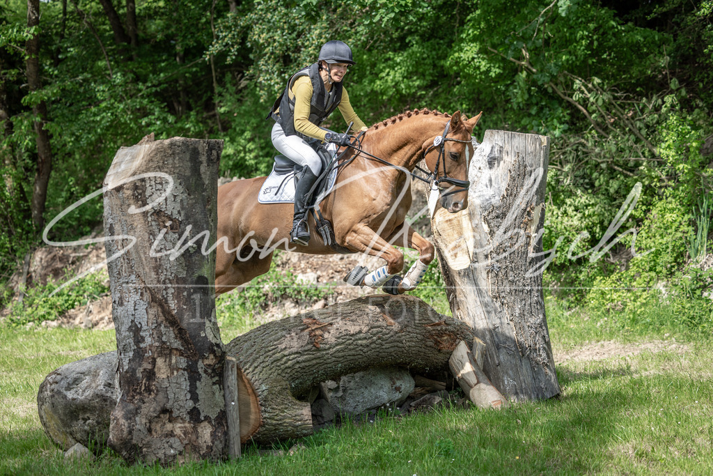 20260523-_3LI9351 | Tierfotografie Pferde, Hunde, Katzen, Haustiere.
Turnierfotografie Reitturniere, Reiten, Springreiten, Dressur in Hanau, dem Main-Kinzig-Kreis und dem Rhein-Main- Gebiet um Frankfurt