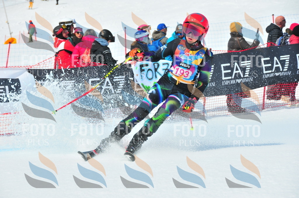 DSC_5503 | holidayphoto