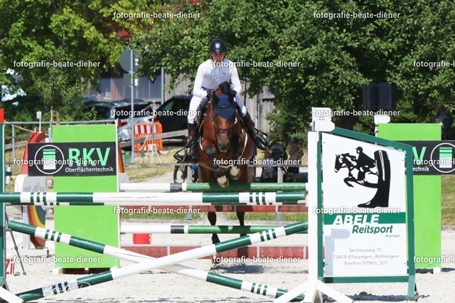 Zeit L (7) | Fotografie, Tiere, Hunde, Katzen, Pferde, Sportfotografie, Fotosession, Tierfotografie, Turnierfotografie, Fotografin, Fotograf - Realisiert mit Pictrs.com