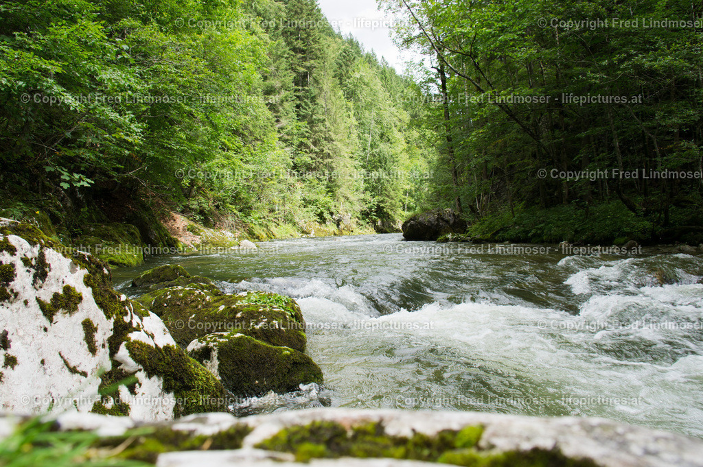 Salzaklamm DSC05571 | SONY DSC - Realisiert mit Pictrs.com