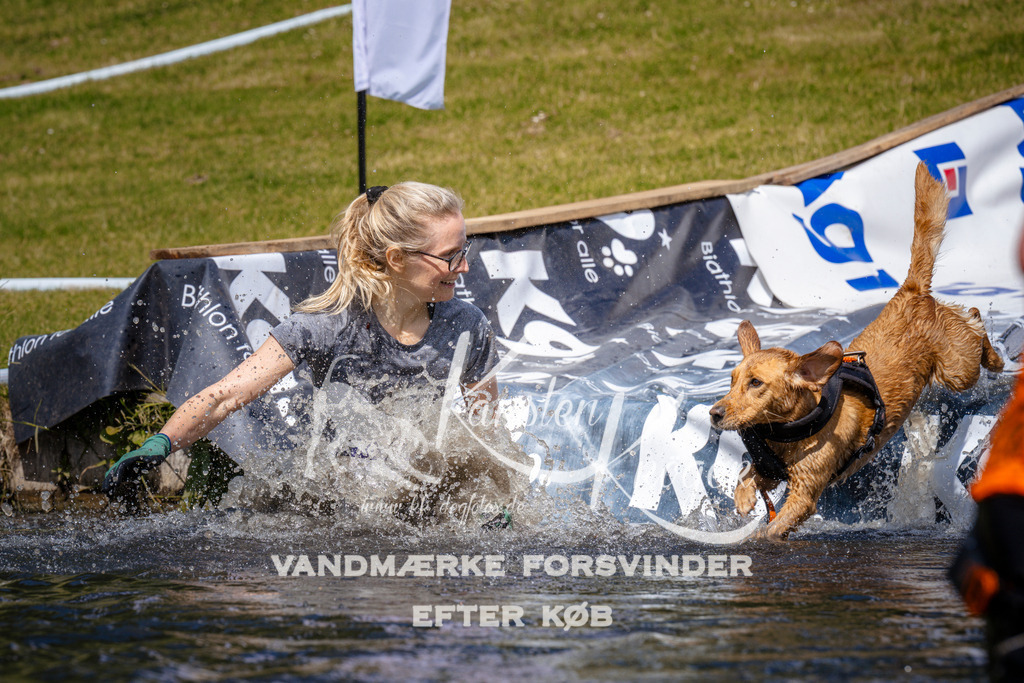 _ZZ956301009 | kk-dogfotos