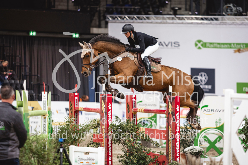 241103_Oldenburg_FinaleMittlereTour-231 | Deine schönsten Turniermomente als professionelle Fotos! Entdecke hochwertige Pferdesport-Fotografie im Online-Shop. Jetzt Fotos finden & bestellen!