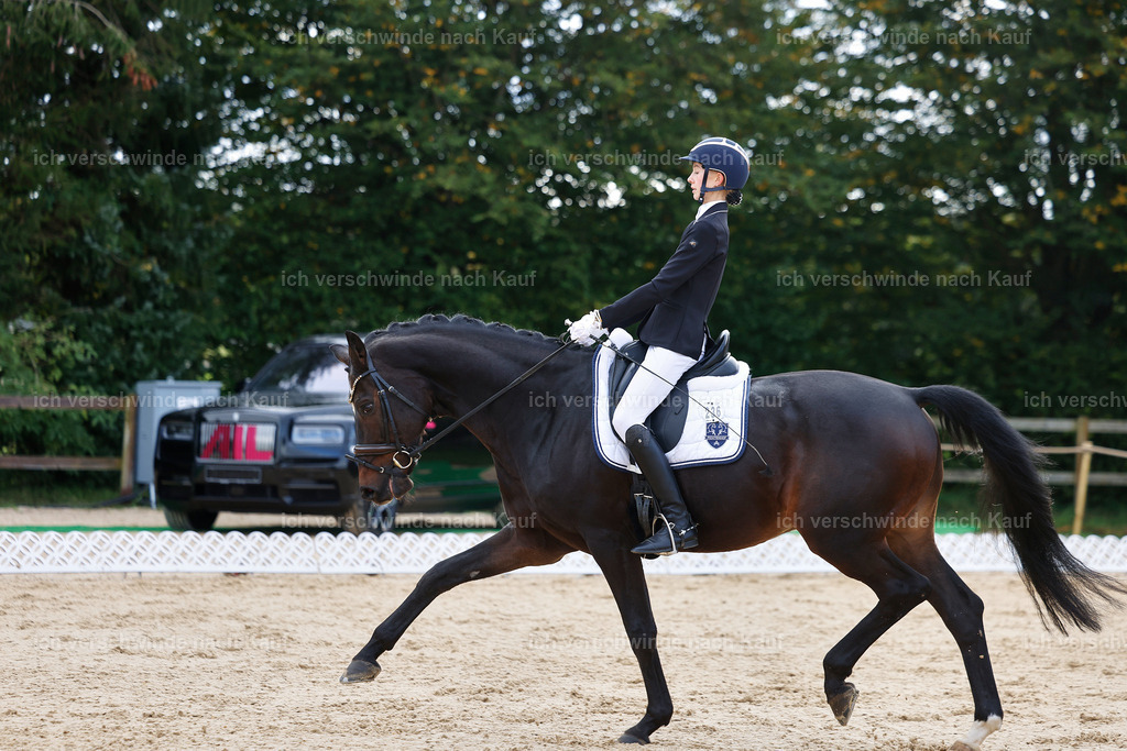 02-236-DRESSUR L_  -StoibPH-4726 | working equitationturnier fotograf videograf stoibphotography marixx film working equitation deutschland reitsport turnierfotografie eventfotografie equestrian events