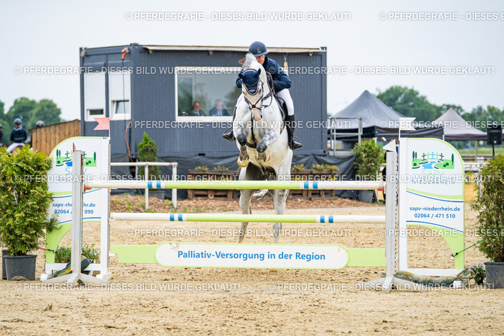 DSC07299 | Pferdegrafie