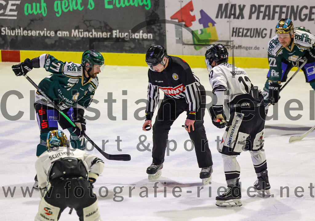 2026-01-30_036_TSV_Erding_gegen_EHF_Passau_Black_Hawks | Erding, Deutschland, 30.01.2026:Eishockey, Oberliga Süd 2025 / 2026, 42. Spieltag, TSV Erding gegen EHF Passau Black Hawks, Endergebnis: 2:6Philipp Michl (Erding Gladiators, #77), Zack Nazzarett (EHF Passau Black Hawks, #12)Foto: Christian Riedel / fotografie-riedel.net