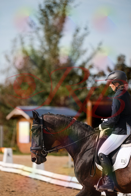 2026_10_03_Siefer-Hof_133500_Z63_93883612 | Professionelle Reitsport-, Turnier- und Eventfotografie von Robert Broda. Galerien mit ausgewählten und bearbeiteten Bildern direkt online ansehen und bestellen.