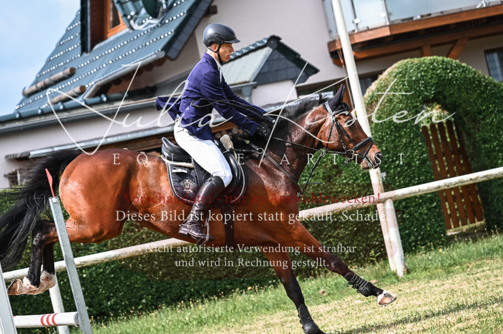 DSC_8408 | Pferde- und Turnierfotografie in Westsachsen. Pferdeportraits, Auftragszeichnungen und intuitive Kunst.