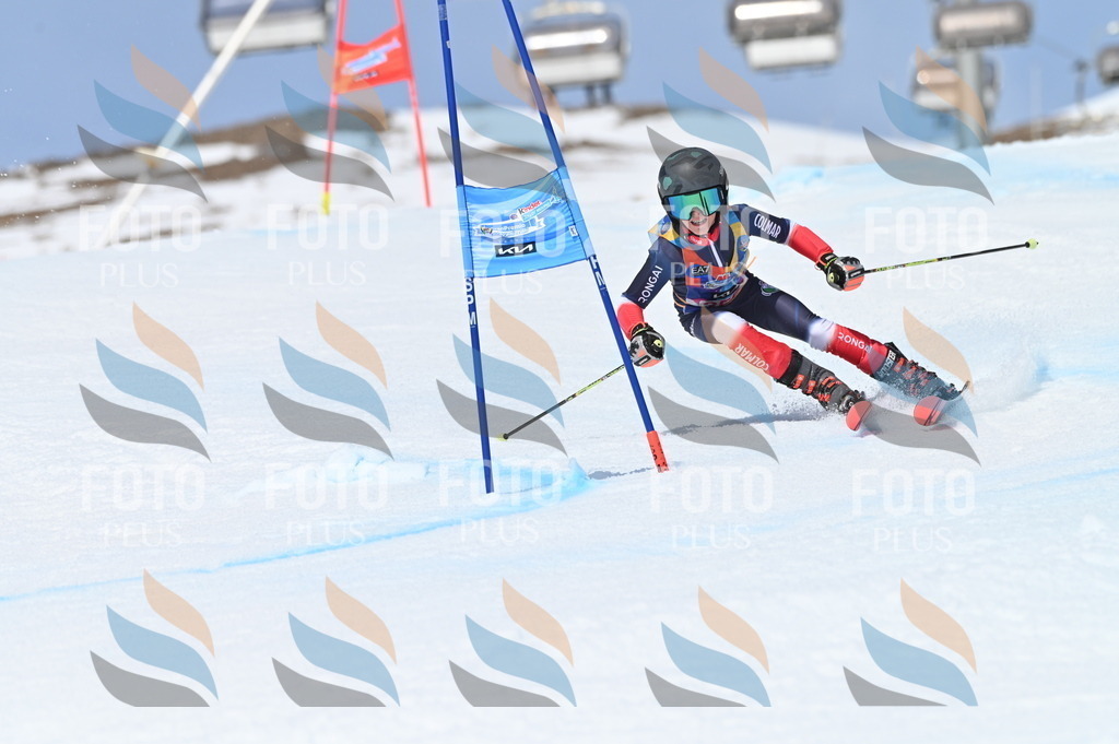 BGV_3741 | holidayphoto