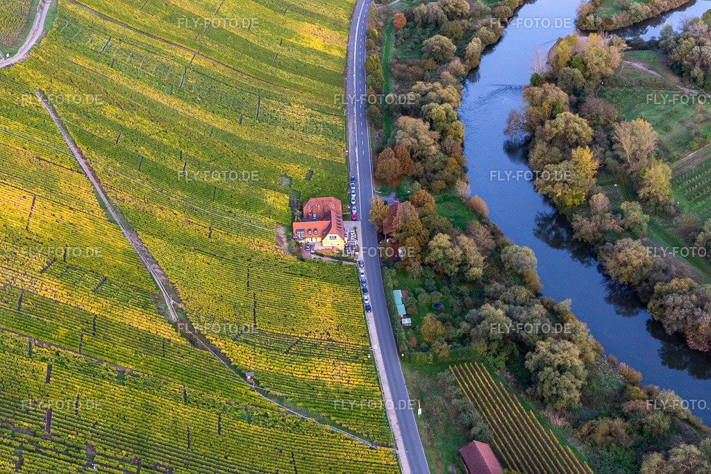 Gebäude des Restaurant Gasthaus Mainaussicht Gifthütte an der Mainschleife | Luftbild: Gebäude des Restaurant Gasthaus Mainaussicht Gifthütte an der Mainschleife im Ortsteil Escherndorf in Volkach im Bundesland Bayern in Deutschland. Foto: IMG_119467.jpg vom 25.10.2019 durch Werner Riehm/FLY-FOTO.de - Realisiert mit Pictrs.com