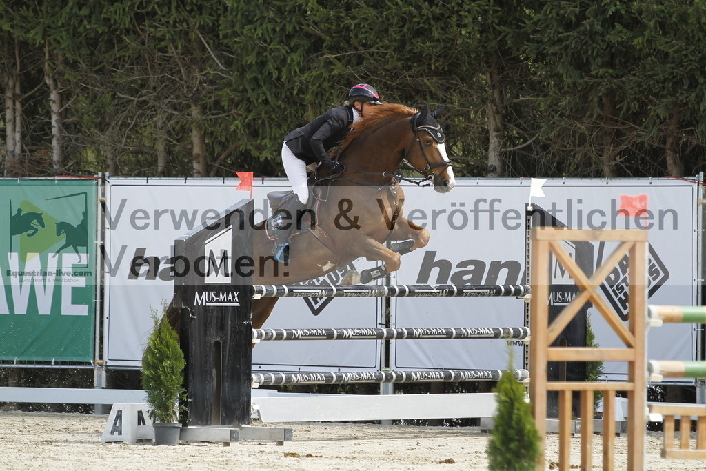 _MG_7252 | equestrian-live-com