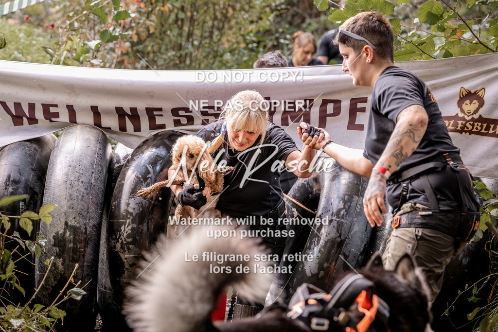 nelerasche_Hunsrück2026_Sa1400-1500_166 | nelerasche