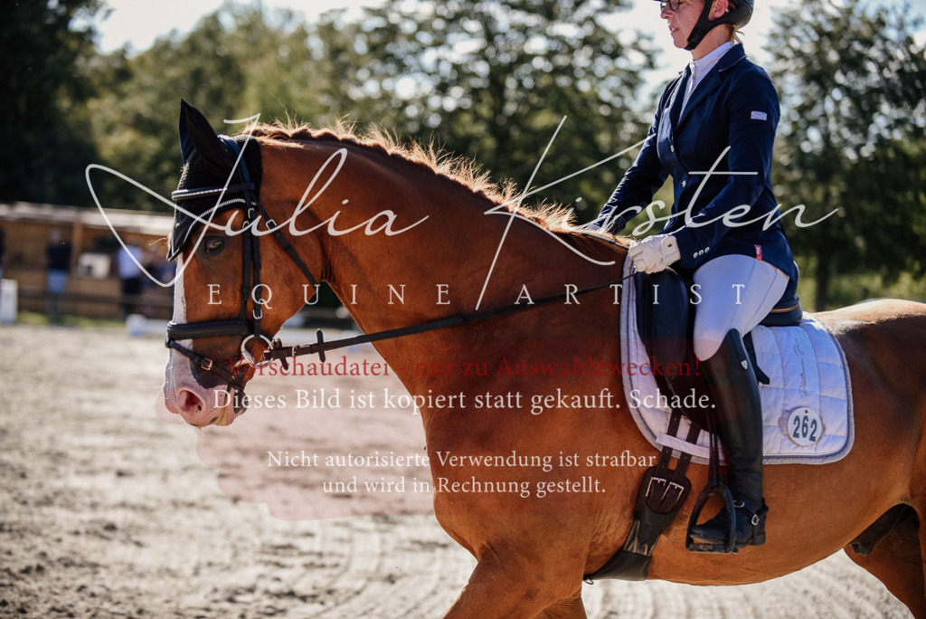 DSC_0475 | Pferde- und Turnierfotografie in Westsachsen. Pferdeportraits, Auftragszeichnungen und intuitive Kunst.