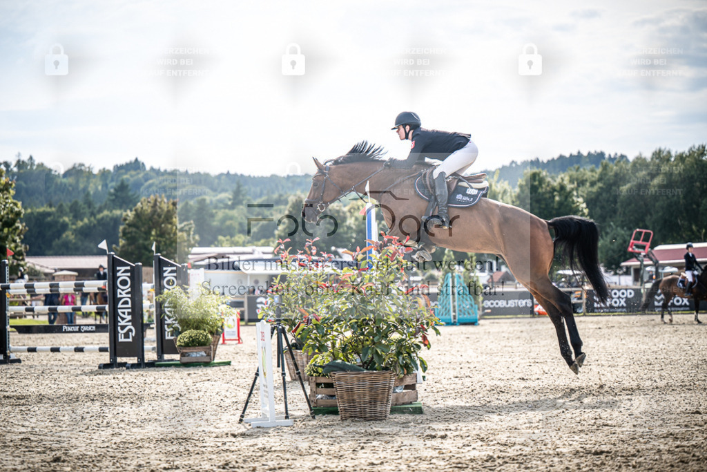 DOS_2163 | Entdecke hochwertige Reitturnierfotos von Foto Oger. Professionell, emotional und authentisch – jetzt Lieblingsmomente im Shop bestellen. - Realisiert mit Pictrs.com