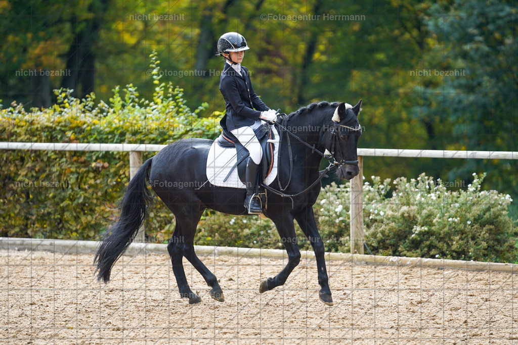 20221008-FAH01359 | Diessen am Ammersee, 2022, Dressur- und Springturnier, Reitsportbilder, Turnierfotografen Bayern, Pferdefotografen, Fotoagentur Herrmann, Turnierbilder