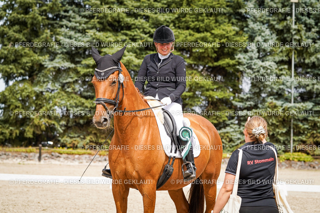 DSC04556 | Pferdegrafie