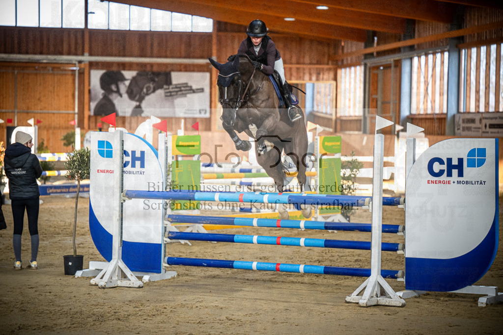 DOS_0642 | Entdecke hochwertige Reitturnierfotos von Foto Oger. Professionell, emotional und authentisch – jetzt Lieblingsmomente im Shop bestellen.Deutschlandweite Turnierfotografie. - Realisiert mit Pictrs.com