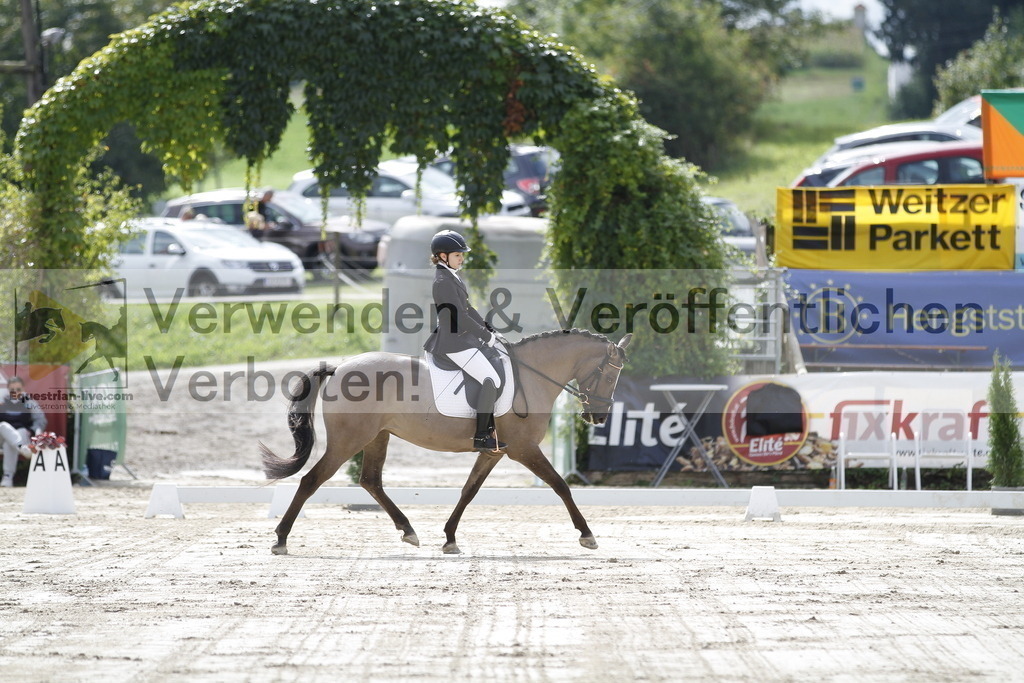 _MG_8849 | equestrian-live-com