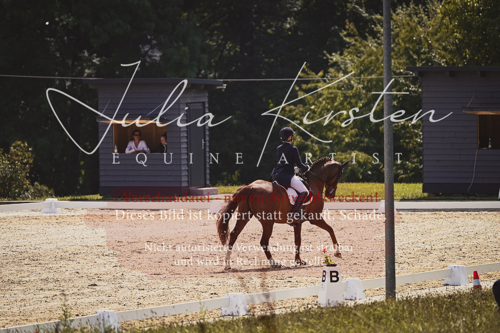 DSC_2768 | Pferde- und Turnierfotografie in Westsachsen. Pferdeportraits, Auftragszeichnungen und intuitive Kunst.