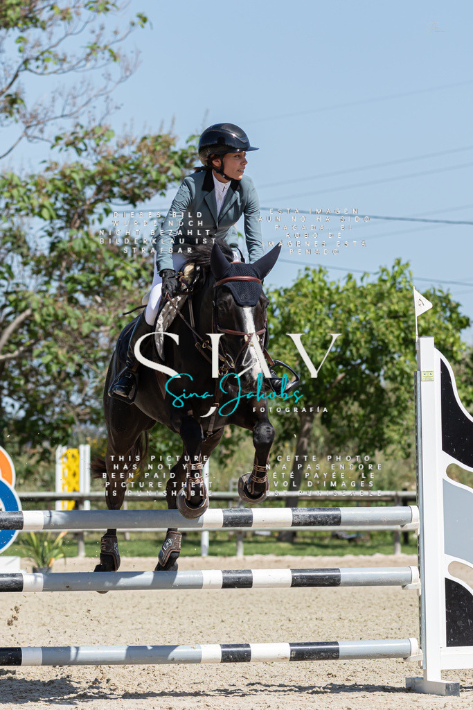 IMG_0694 | s-jay-photography - Realized with Pictrs.com