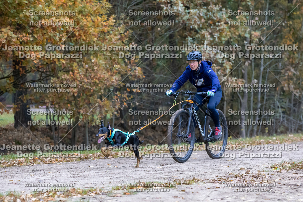 Dog Paparazzi - SD CaniX Championship 2025-281 | Dog Paparazzi Jeanette Grottendiek Fotografie & Videografie - Realisiert mit Pictrs.com