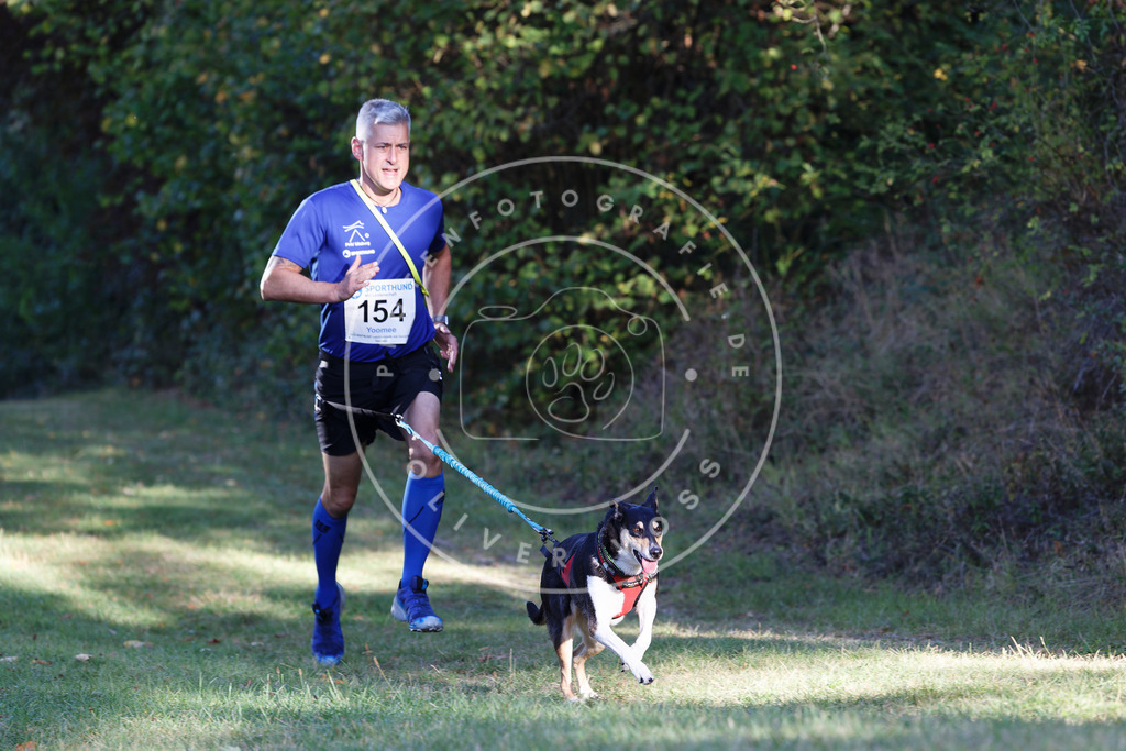 0L8A5035 | Hundefotografie, Tierfotograf, Pfotenfotografie, Fotoshooting Hund, Hunde Portrait, Hundesport, Hundeportraits, Heideshooting, Hunde, Sportfotograf, Hundefotograf, Turnierhundsport, THS,  - Realisiert mit Pictrs.com