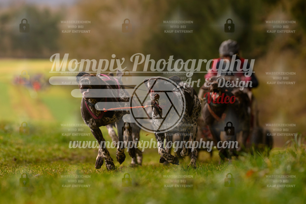 MompixPhotography_2SSTSSBW_2025_SO_Kart-39 | PayLife