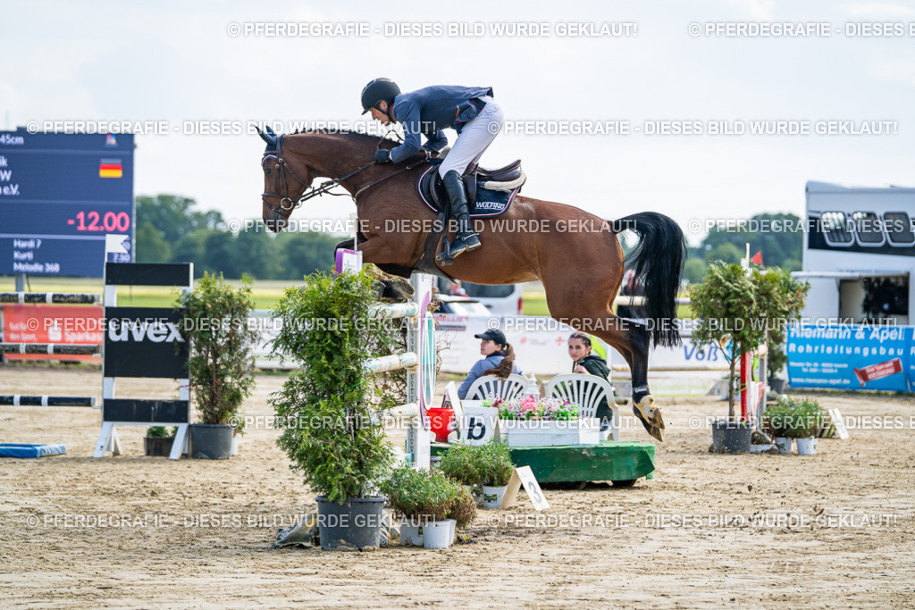 DSC06597 | Pferdegrafie