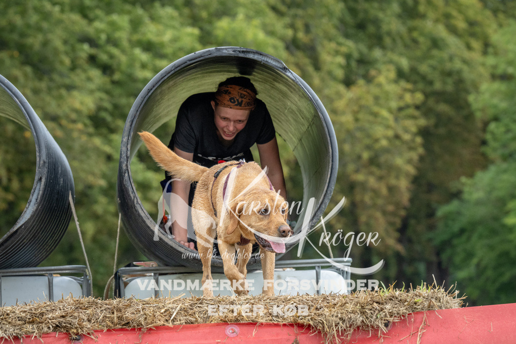 1128_ZZ94303 | kk-dogfotos