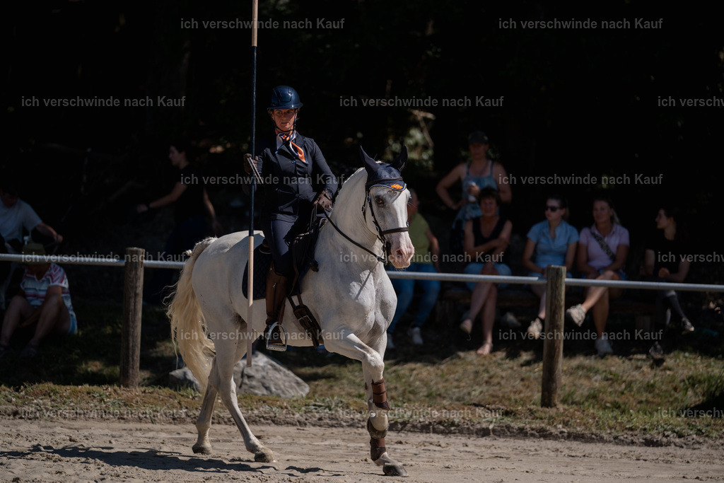 WS_ST_52_stoibphotography_SO11396 | working equitationturnier fotograf videograf stoibphotography marixx film working equitation deutschland reitsport turnierfotografie eventfotografie equestrian events