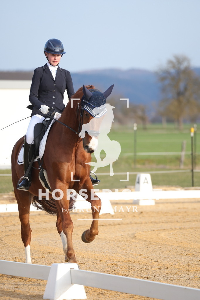 0P6A5937 | Willkommen bei Brunnmayr - Design & Fotografie – Ihrem Spezialisten für Reitturniere und Pferdeveranstaltungen in Oberösterreich, Salzburg und Bayern! Seit über 17 Jahren sind wir leidenschaftlich dabei.