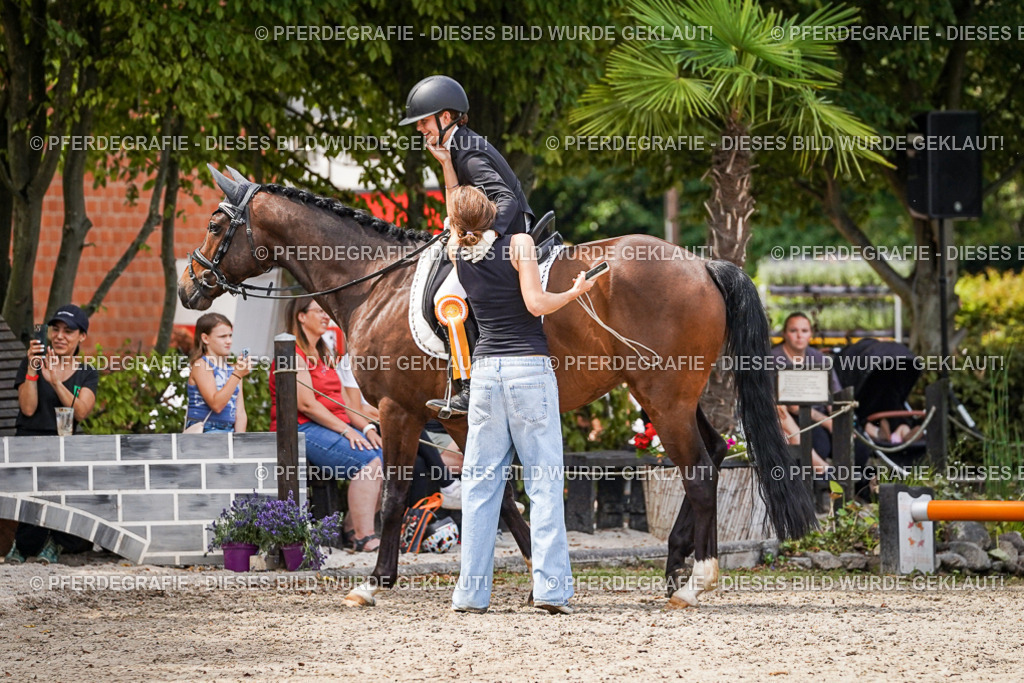 DSC04711 | Pferdegrafie