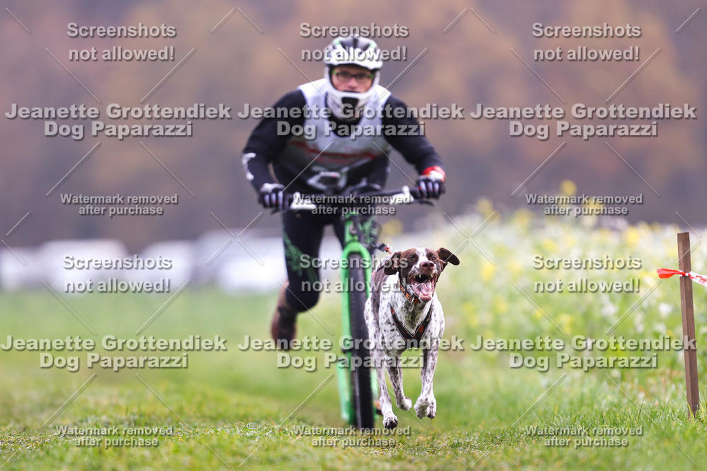 Dog Paparazzi - Visbeck 25 -280 | Dog Paparazzi Jeanette Grottendiek Fotografie & Videografie - Realisiert mit Pictrs.com